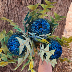 Banksia Baxteri - Blue tones