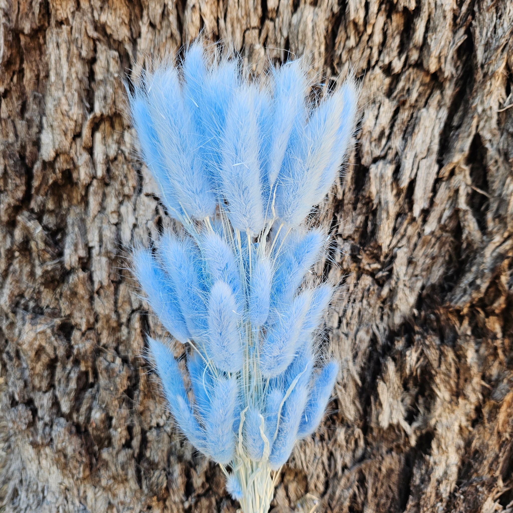 Bunny Tails/Pussy Tails -  Soft Blue