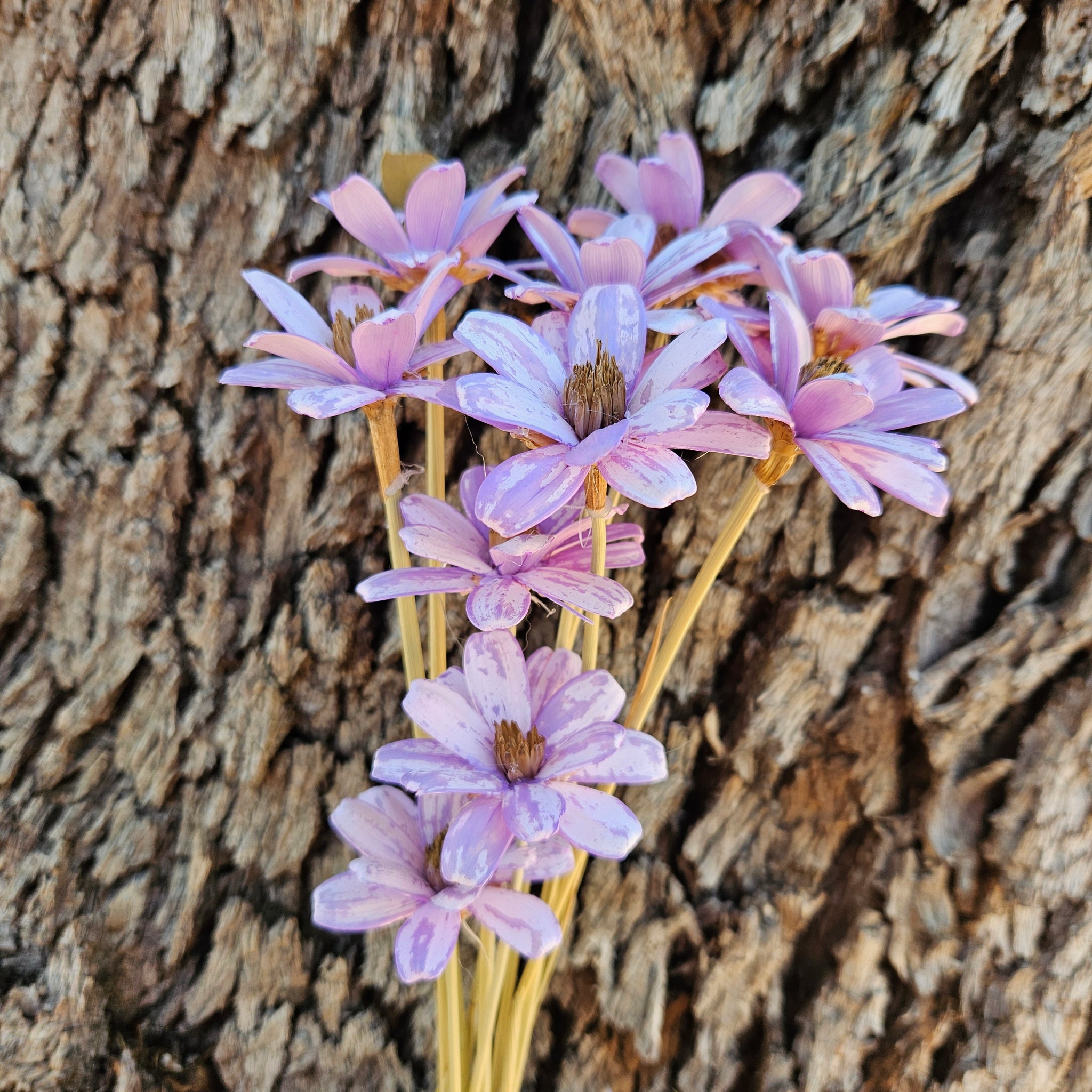 Handmade Daisies - Lilac Purple