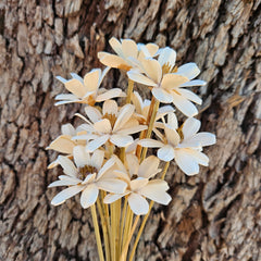 Handmade Daisies - White Linen