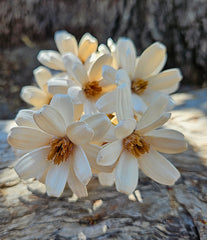 Handmade Daisies - White Linen