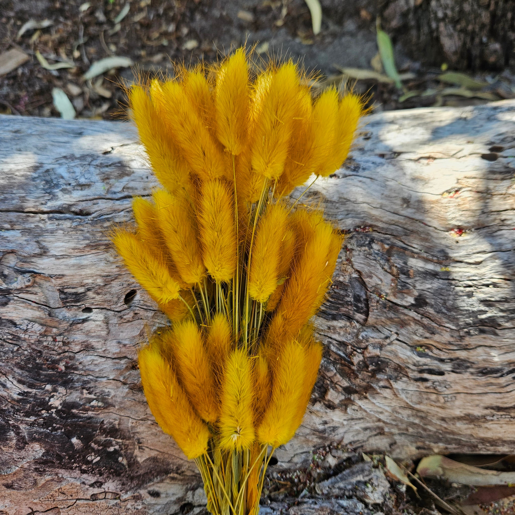 Bunny Tails/Pussy Tails - Mustard Yellow