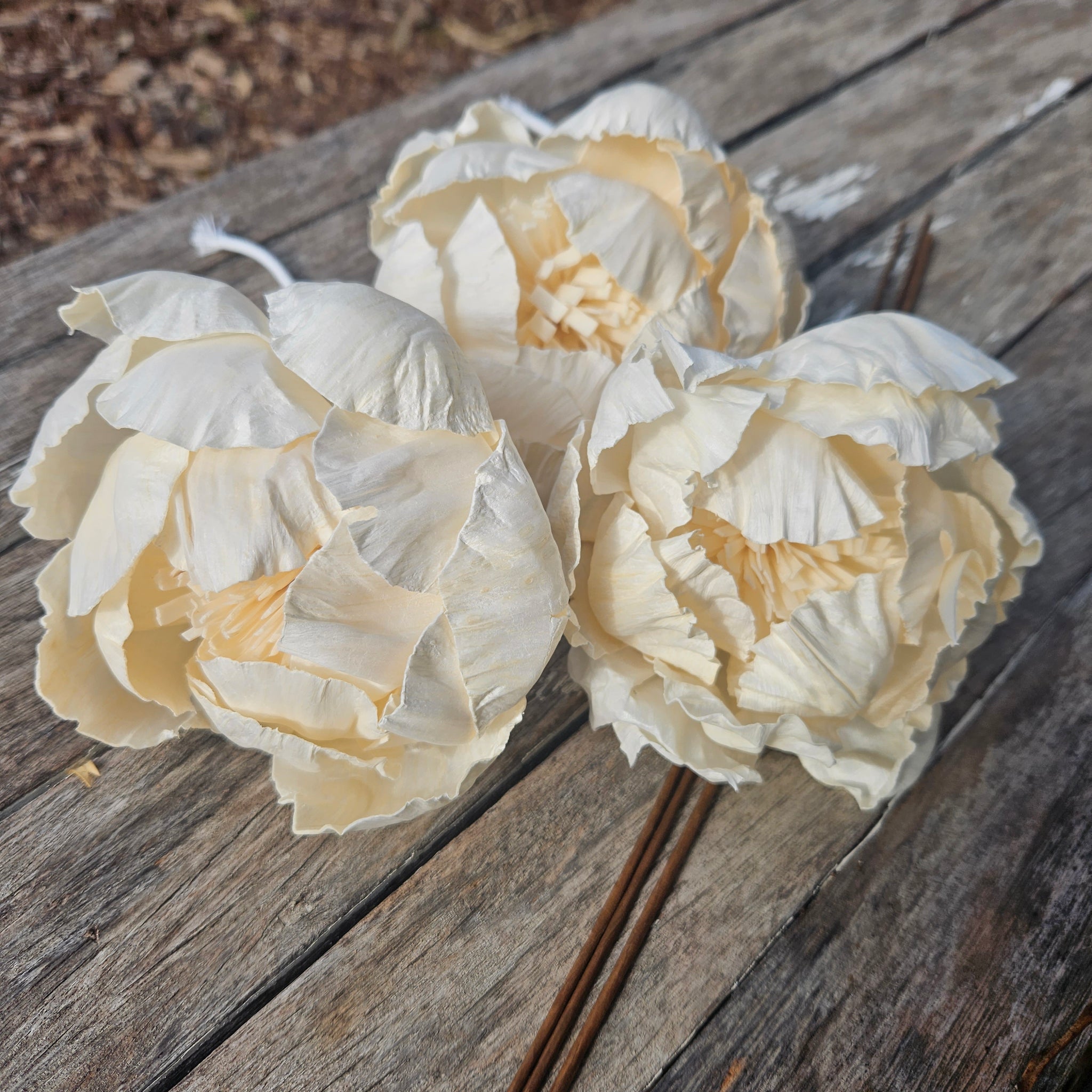 Handmade Flowers - Sola Flower - Ivory Large Fully Open Peony - 10/11cm -  Diffuser