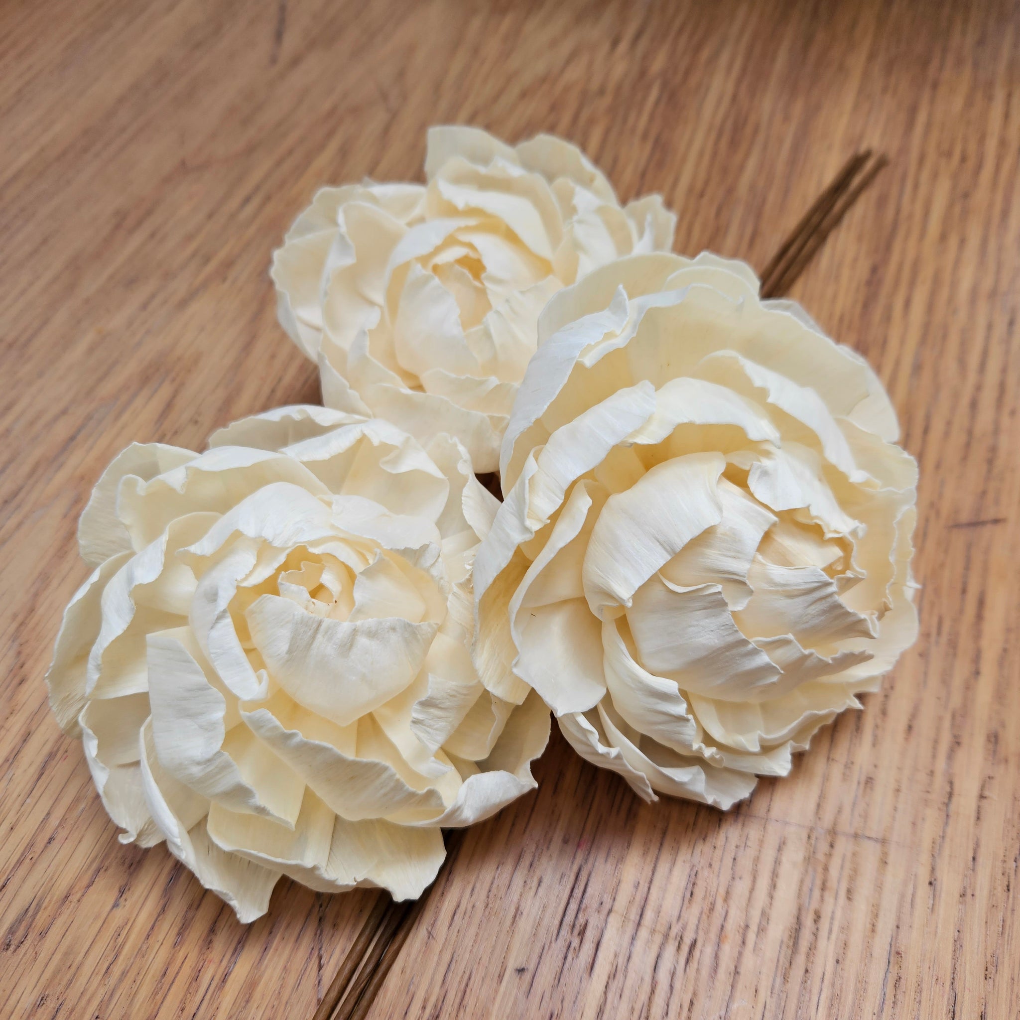 Handmade Flowers - Sola Flower - Ivory Part Open Peony  10/11cm - Diffusers
