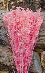 Baby’s Breath - Gypsophila Preserved - Soft Candy Pink Tones