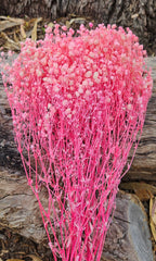 Baby’s Breath - Gypsophila Preserved - Soft Candy Pink Tones