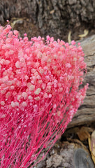 Baby’s Breath - Gypsophila Preserved - Soft Candy Pink Tones