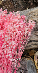 Baby’s Breath - Gypsophila Preserved - Soft Candy Pink Tones