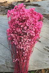 Baby’s Breath - Gypsophila Preserved - Barbie Pink Ombre