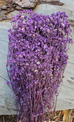 Baby’s Breath - Gypsophila Preserved - Lilac Purple Ombre