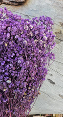 Baby’s Breath - Gypsophila Preserved - Lilac Purple Ombre