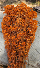 Baby’s Breath - Gypsophila Preserved - Tiger Orange Ombre