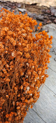 Baby’s Breath - Gypsophila Preserved - Tiger Orange Ombre