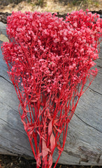 Baby’s Breath - Gypsophila Preserved - Coral Pink Ombre