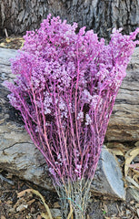 Sago Preserved - Soft Pretty Pink Tones