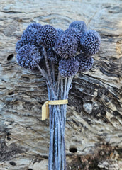 Billy Buttons - Mini - Smokey Gray