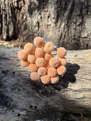 Billy Buttons  - Soft Salmon Orange/Pink