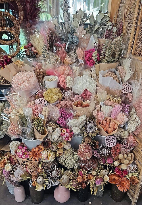 DRIED + PRESERVED