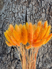 Bunny Tails/Pussy Tails - Orange Spice