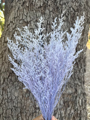Limonium / Misty / statice - Soft Pastel Lilac
