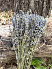 Lavender Dried
