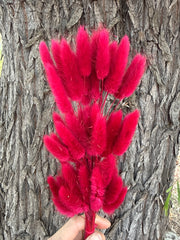 Bunny Tails/Pussy Tails - Raspberry Pink