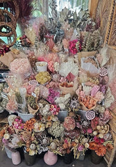 Gift Card $25 (cannot be purchased when logged in wholesale account)