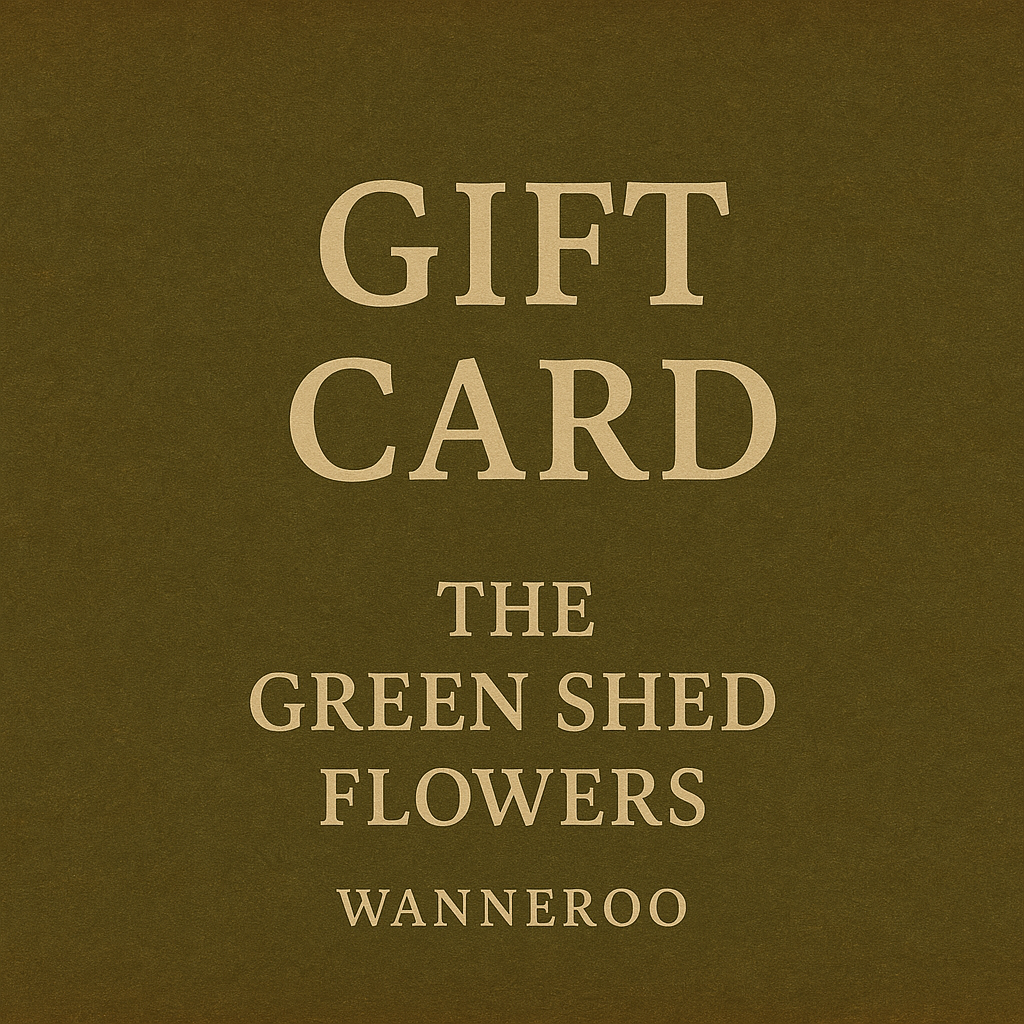 Gift Card $100 (cannot be purchased when logged in wholesale account)