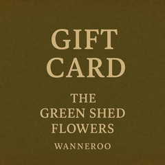 Gift Card $25 (cannot be purchased when logged in wholesale account)
