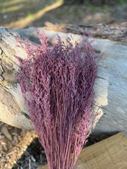 Limonium / Misty / statice - Vintage Plum Pink
