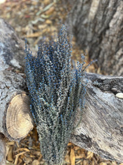 Tea Tree - Blue - shades vary