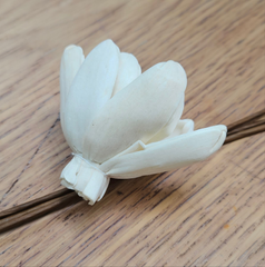 Handmade Flowers - Sola Flower - Off White Tulip Open- 5/7cm