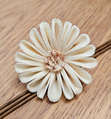Handmade Flowers - Sola Flower - White Rounded Zinnia with Blush Pink Centre - 7cm