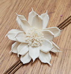 Handmade Flowers - Sola Flower - White Waterlilly - 8cm