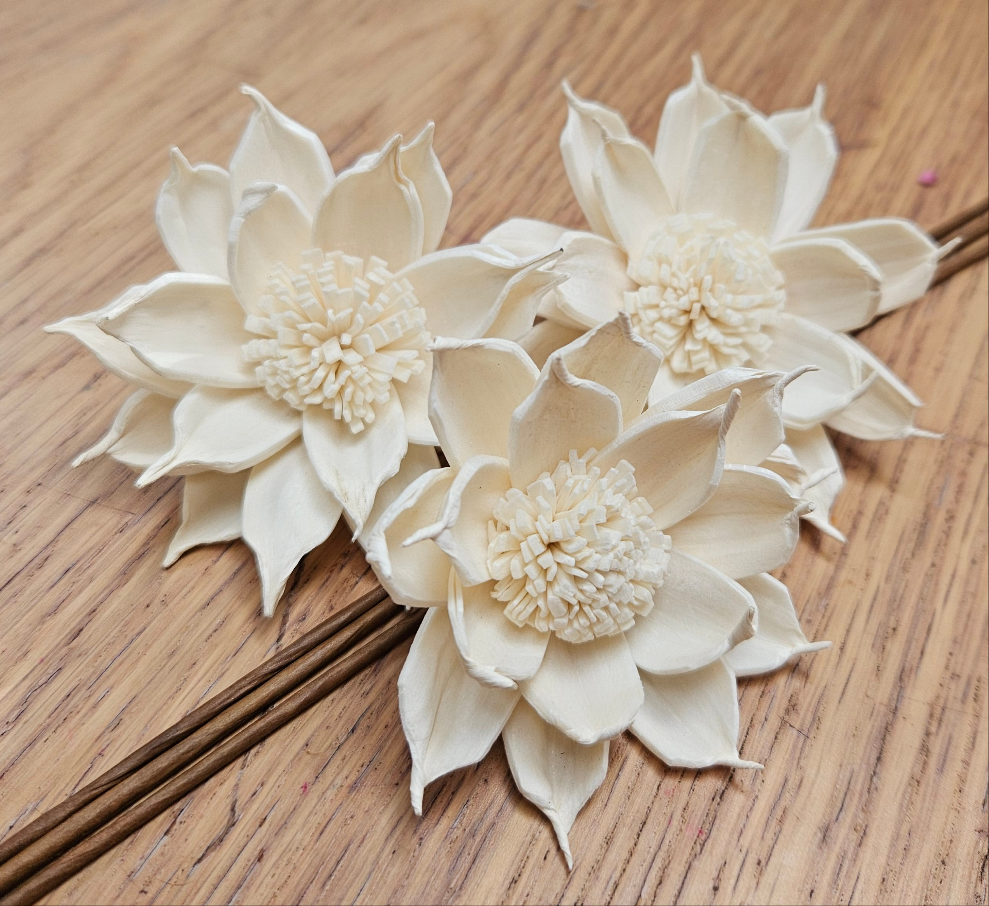 Handmade Flowers - Sola Flower - White Waterlilly - 8cm