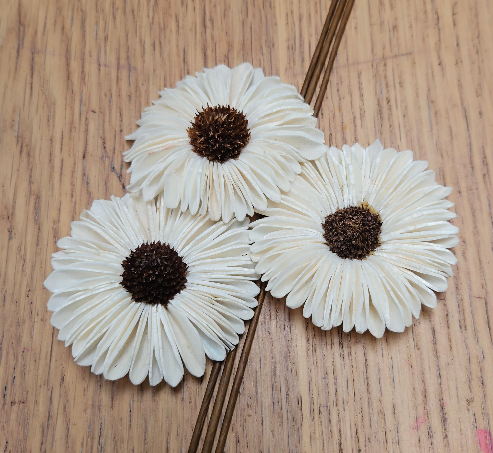 Handmade Flowers - Sola Flower - Rounded Gerbra Brown Centre - 5/6cm