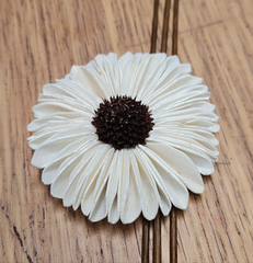 Handmade Flowers - Sola Flower - Rounded Gerbra Brown Centre - 5/6cm