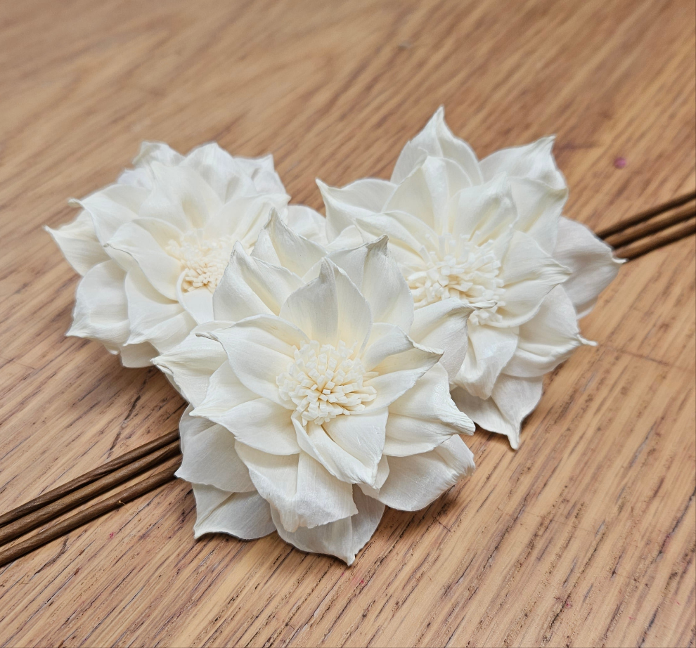 Handmade Flowers - Sola Flower - White Star Dahlia - 8cm