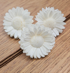 Handmade Flowers - Sola Flower - Medium White Zinnia - 6cm