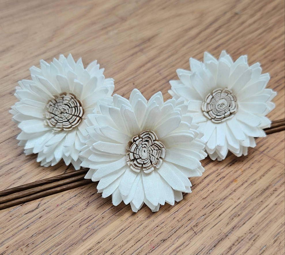 Handmade Flowers - Sola Flower - White Zinnia with Brown Centre - 5-6cm