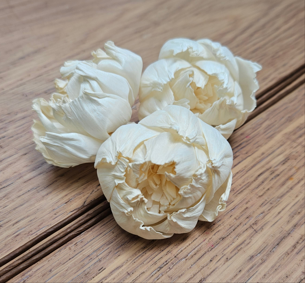 Handmade Flowers - Sola Flower - Off White Tight Bud Peony - 5/6cm