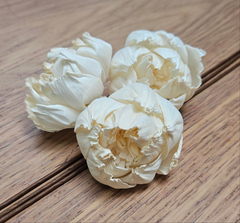 Handmade Flowers - Sola Flower - Off White Tight Bud Peony - 5/6cm