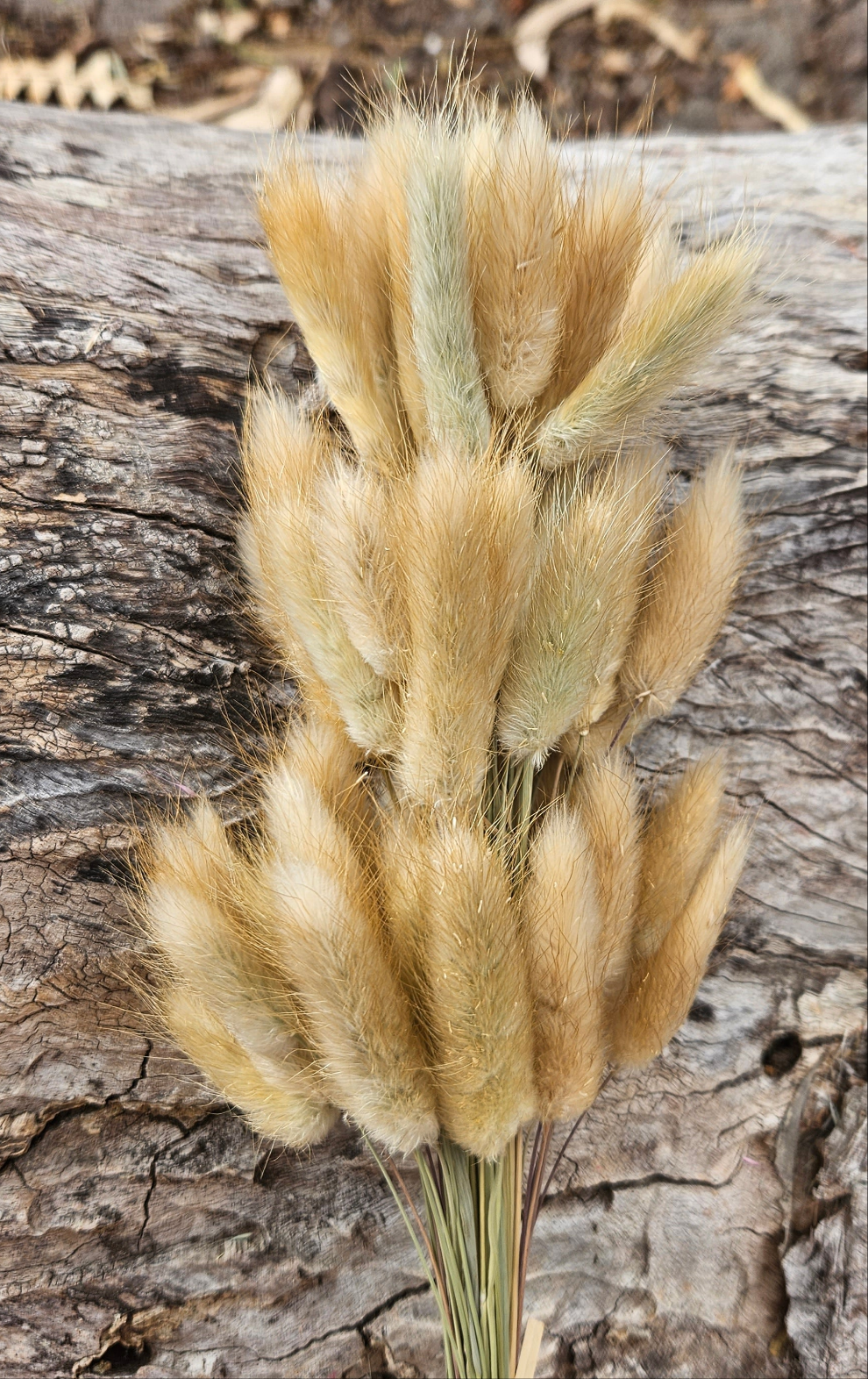 Bunny Tails/Pussy Tails - Natural