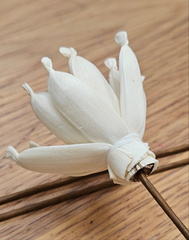 Handmade Flowers - Sola Flower - Magnolia - 7-8cm