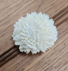 Handmade Flowers - Sola Flower - Off White Full Star Zinnia - 5cm