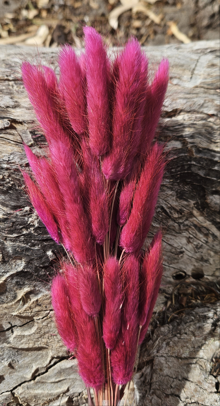 Bunny Tails/Pussy Tails - Raspberry Pink