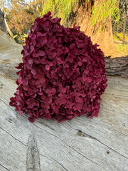 Hydrangea - Burgundy pink / red