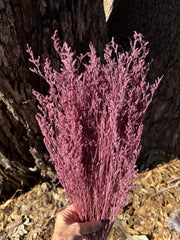 Limonium / Misty / statice - Vintage Plum Pink