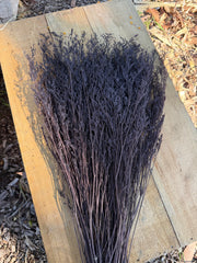 Limonium / Misty / statice - Dark Cocoa Brown