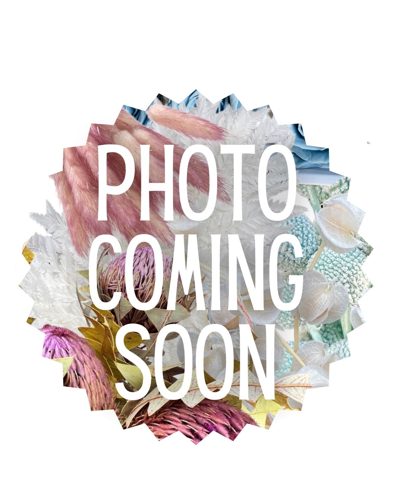 Sundries - Floral Foam - Dekorette double Brick in Cage